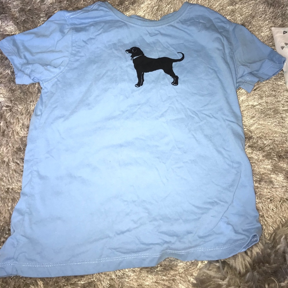 Black dog